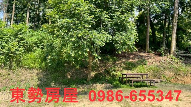 苗栗農地-12