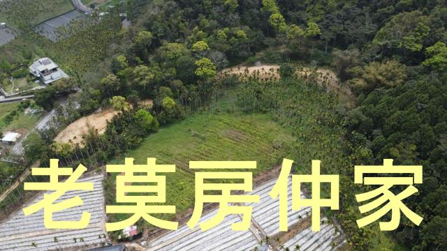 魚池農地-12