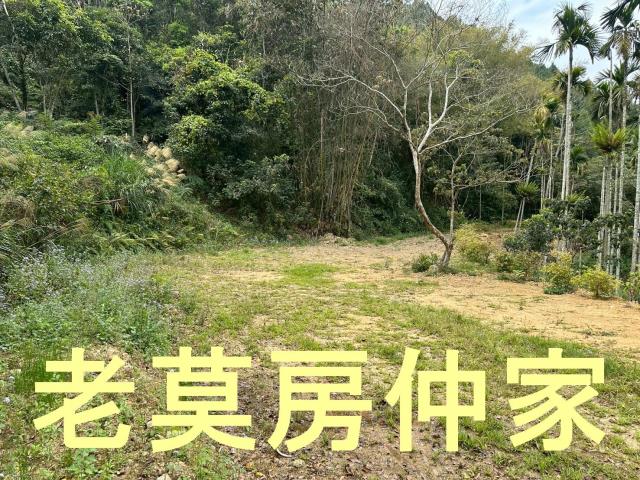 魚池農地-2