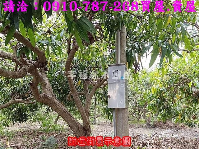 玉井農地-7