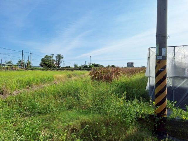 台南柳營農地-5