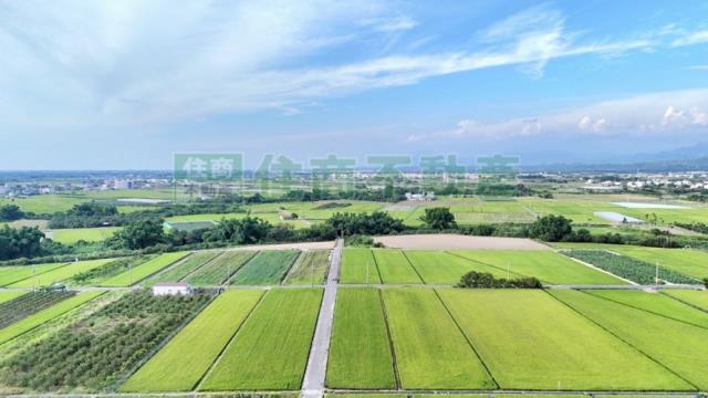 台南東山農地-4