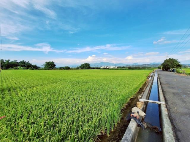台南東山農地-5