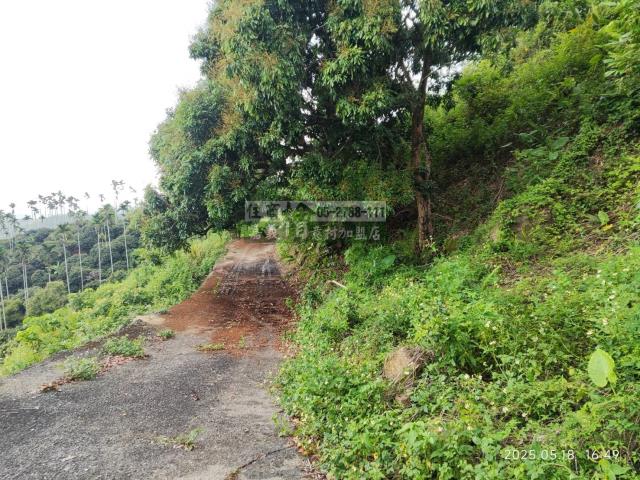 竹崎農地-5