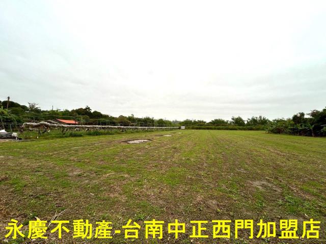 左鎮農地-14