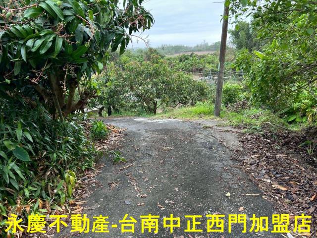左鎮農地-1