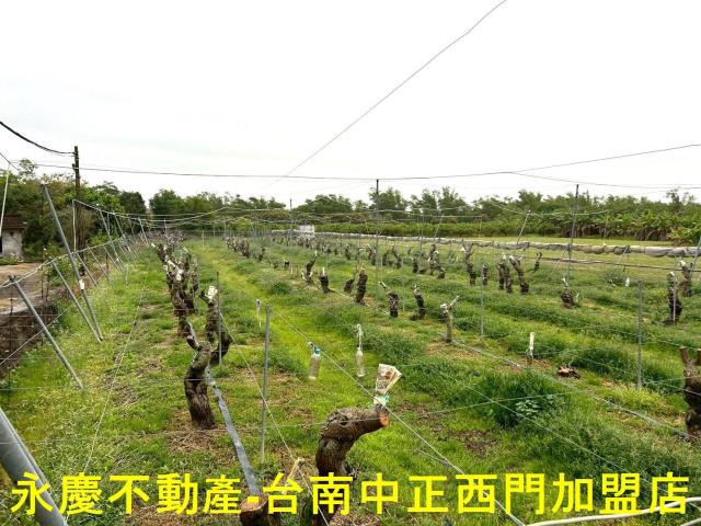 左鎮農地-2