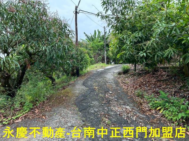 左鎮農地-4