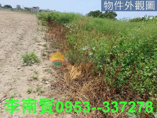 安南農地-1
