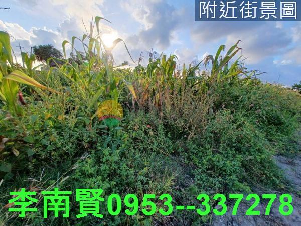 西港農地-4