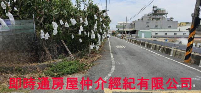 湖內農地-2