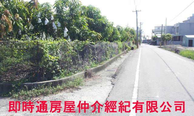 湖內農地-5