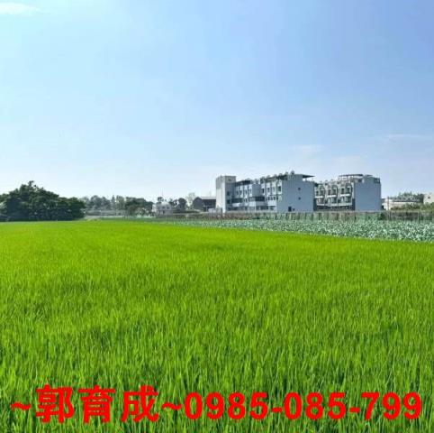 彰化農地-3