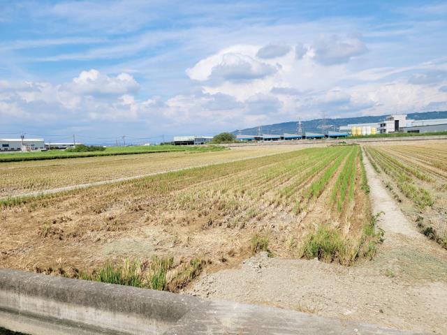 路竹農地-10