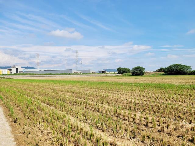 路竹農地-6