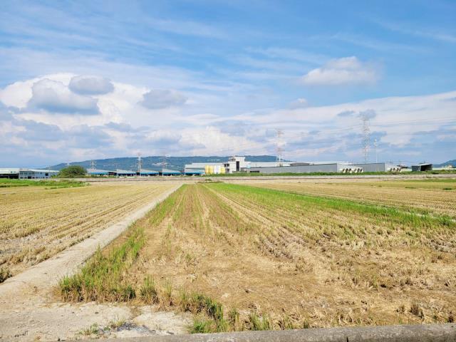 路竹農地-7