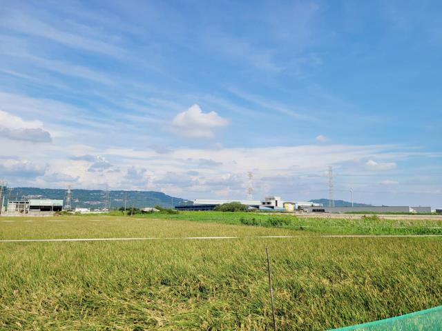 路竹農地-8