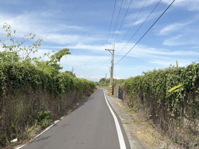 歸仁農地-11