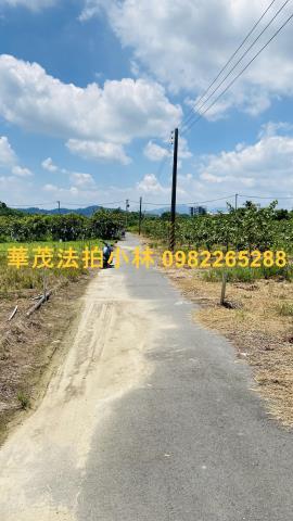 台南玉井農地-3