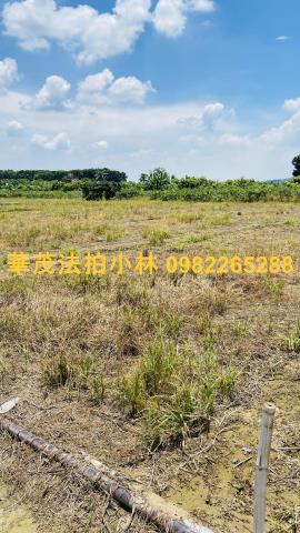 台南玉井農地-5