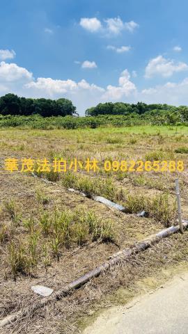 台南玉井農地-8