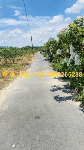 台南玉井農地-10