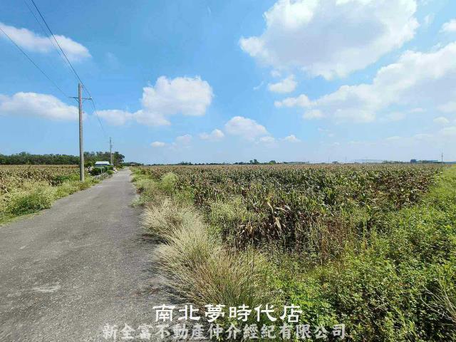 七股農地-7