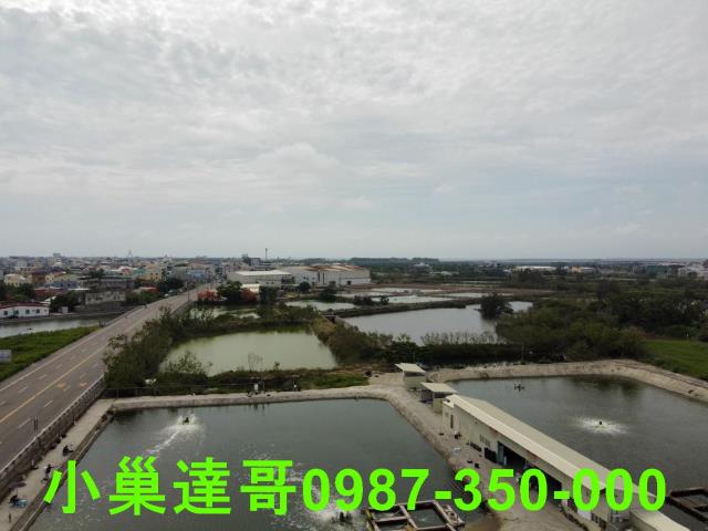 布袋農地-2