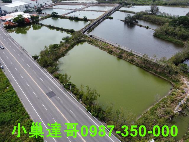 布袋農地-4