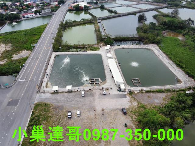 布袋農地-8
