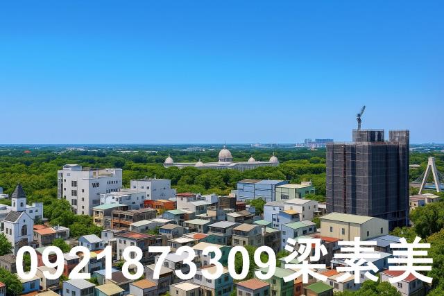 仁德農地-7