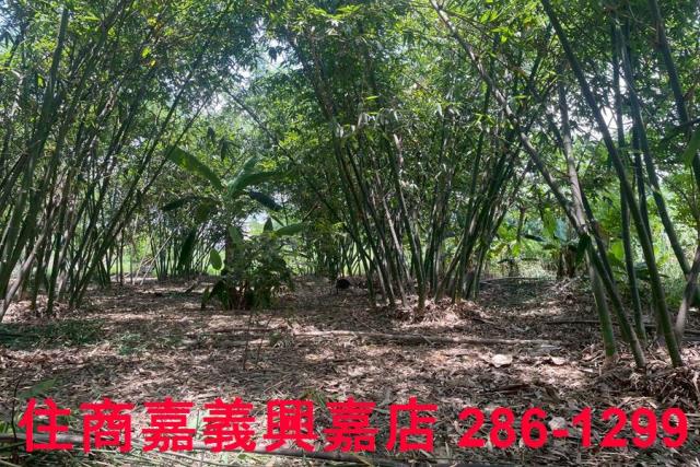 嘉義建地-4