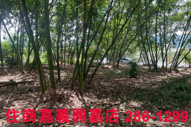 嘉義建地-7
