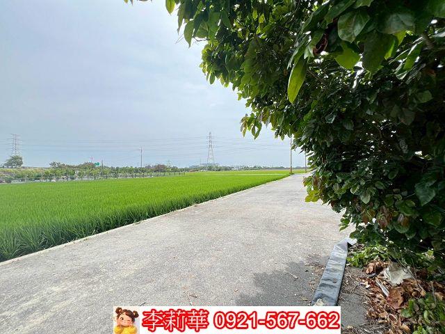 台南農地-2