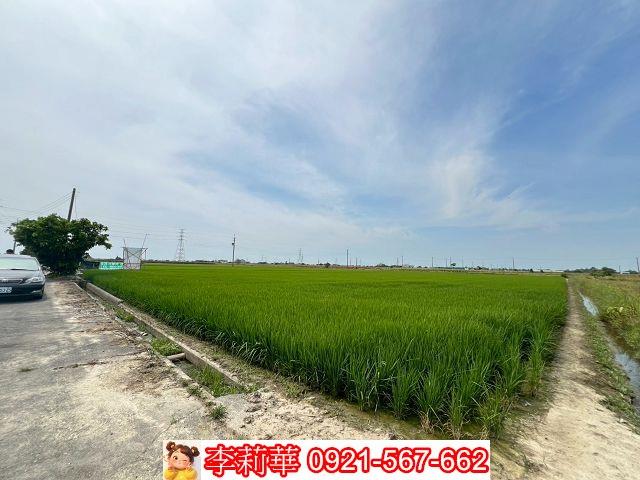 台南農地-5