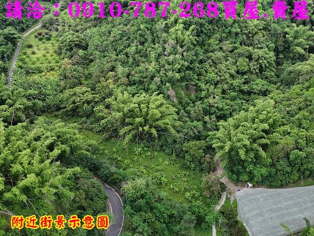 台南大內農地-3