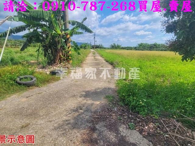 台南南化農地-10
