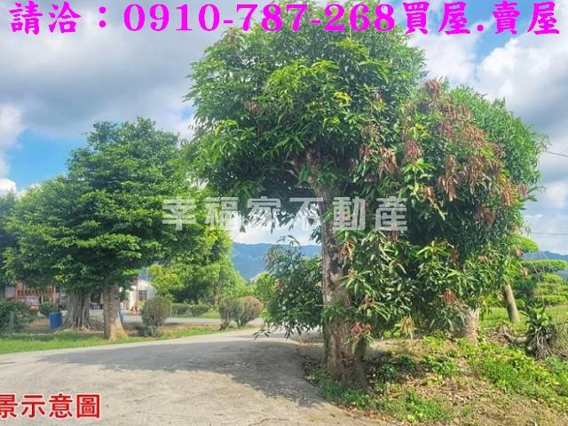 台南南化農地-11