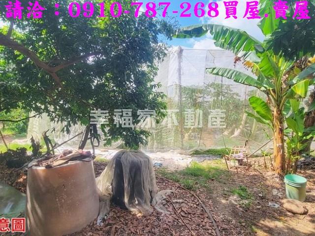 台南南化農地-12