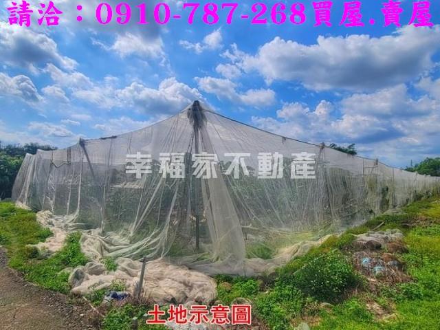 台南南化農地-3