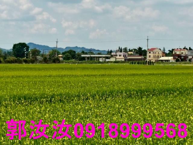 台南東山農地-7