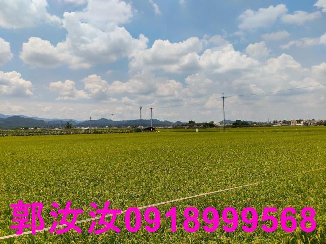 台南東山農地-9