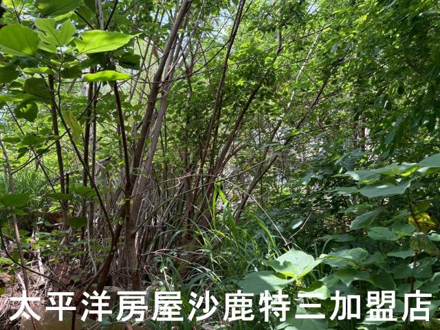 沙鹿建地-1