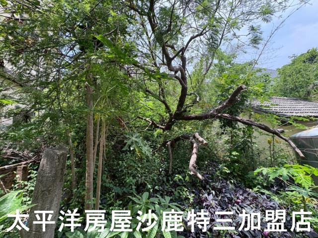 沙鹿建地-4