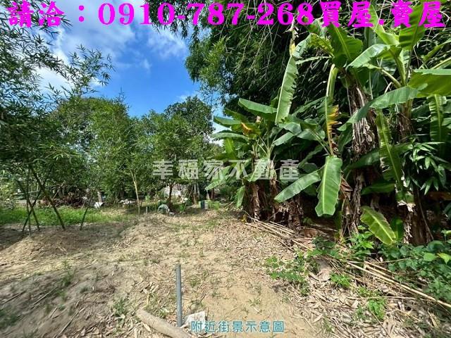 關廟農地-11