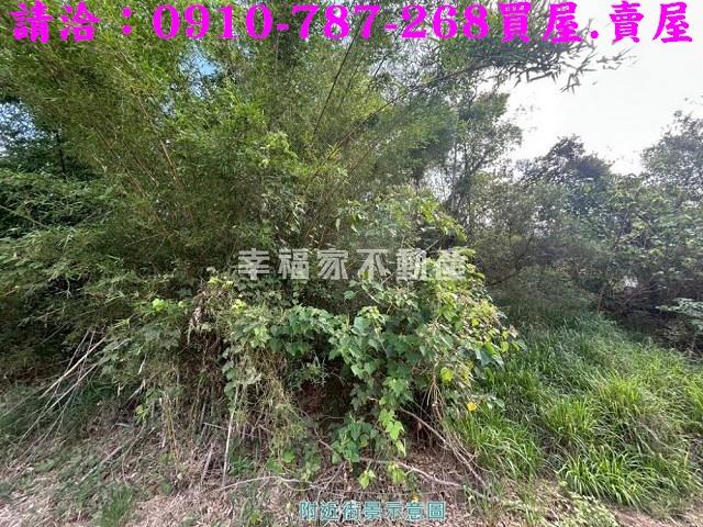 關廟農地-14