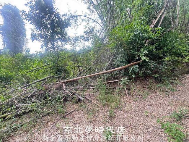 左鎮農地-9