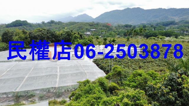 台南玉井農地-5