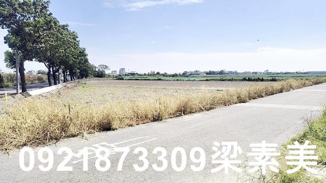 台南西港農地-2