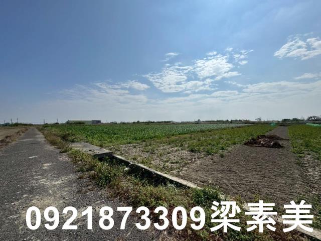 台南七股農地-2